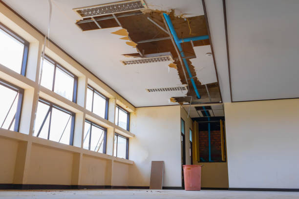 Best Water damage cleanup near me  in Hannahs Mill, GA