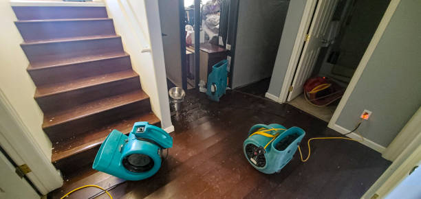 Best 24-hour water damage restoration  in Hannahs Mill, GA