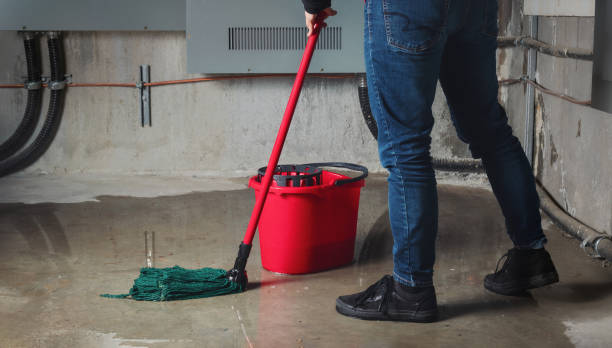 Best Water damage restoration near me  in Hannahs Mill, GA