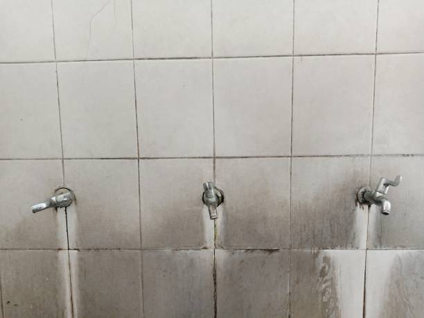 Best Carpet water damage restoration  in Hannahs Mill, GA