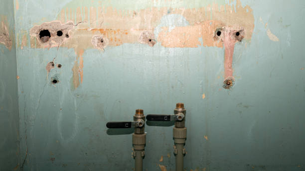 Best Professional water damage repair  in Hannahs Mill, GA